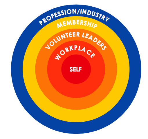 Concentric circles of diversity and inclusion work
