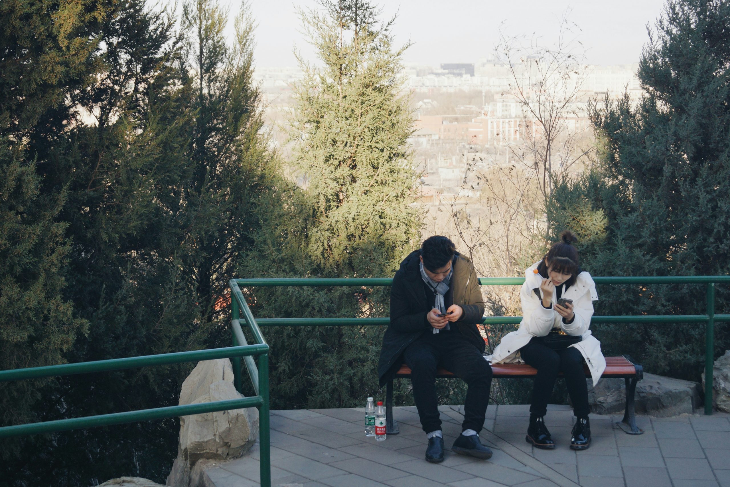 Two people sitting next to each other on a bench in a lovely nature setting, both looking at their phones