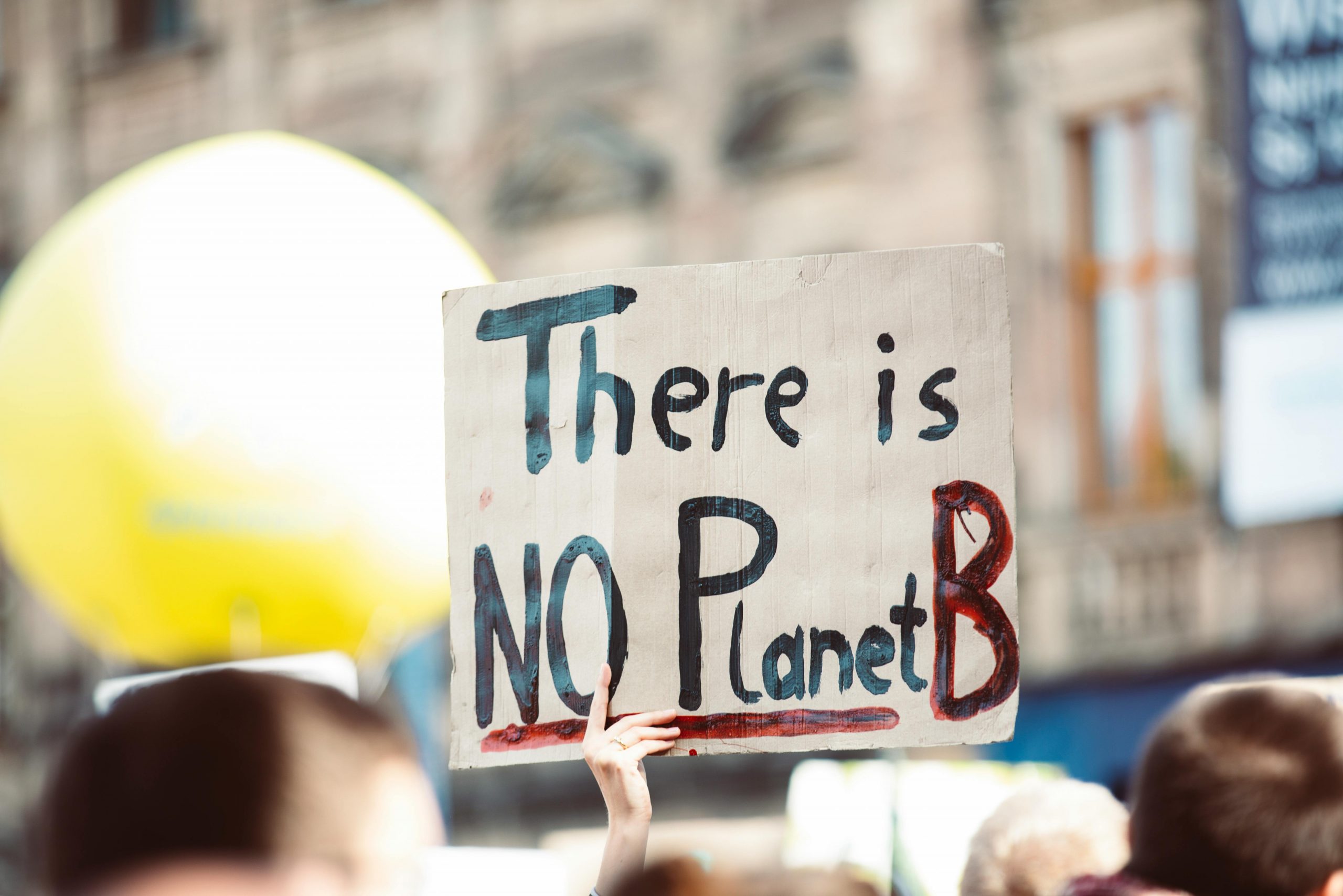 Cardboard hand-printed sign that reads "There Is No Planet B" being held up against a blurred background of a march / protest