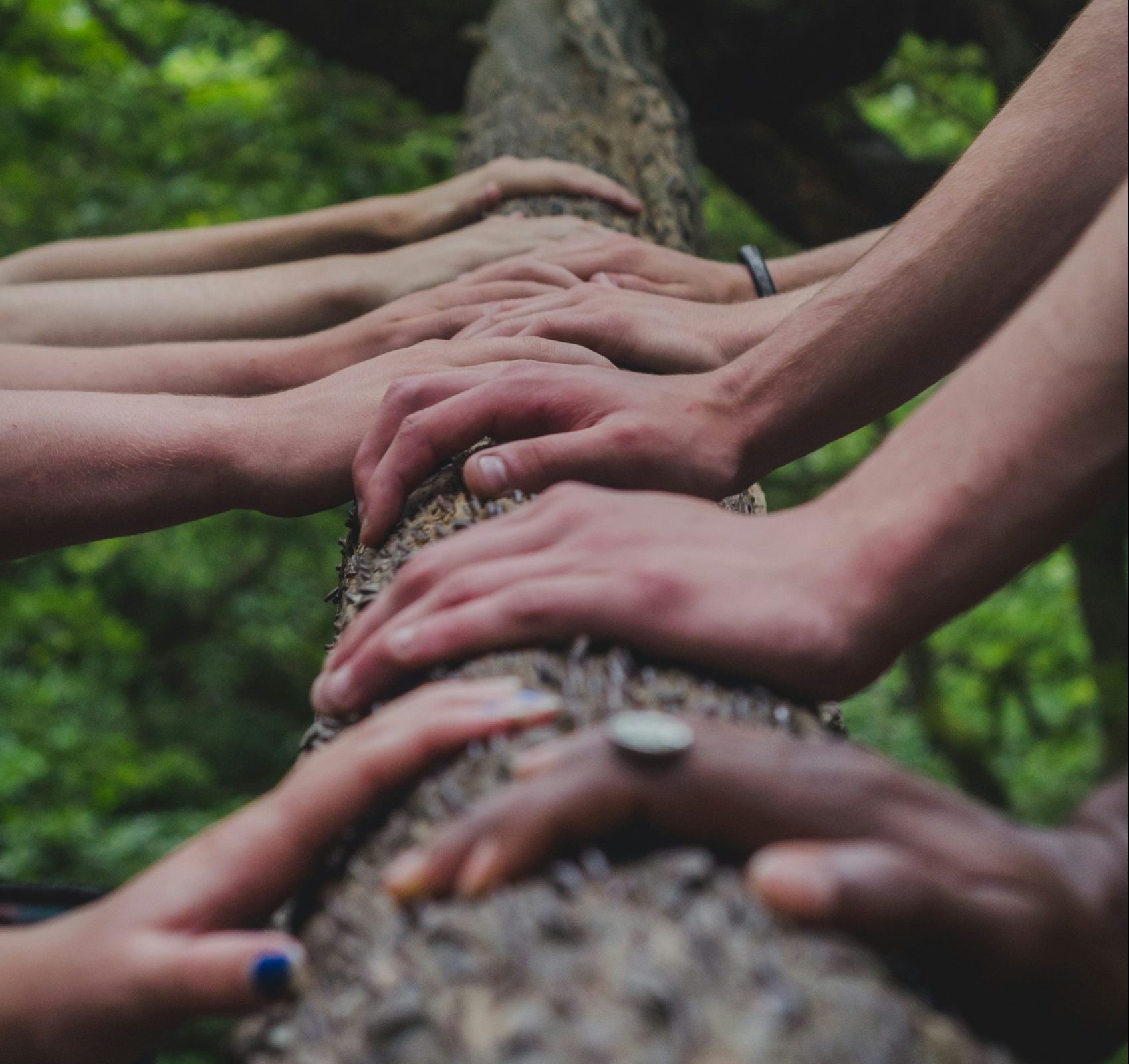 different people's hands on a tree trunk representing working together to accomplish a shared goal